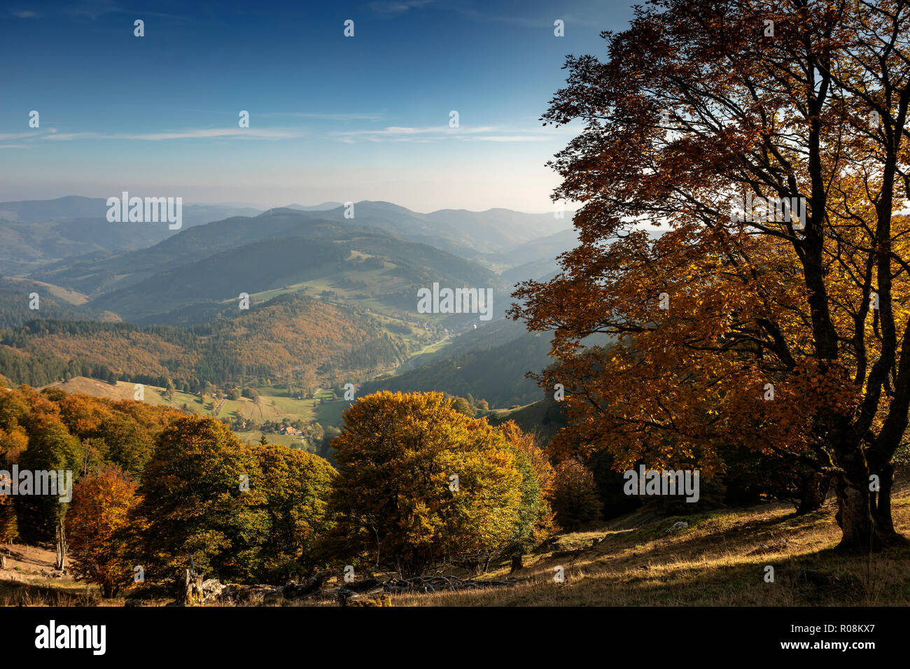 View from Belchen into the small Wiesental, autumn atmosphere, Black Forest, Baden-Württemberg, Germany Stock Photo