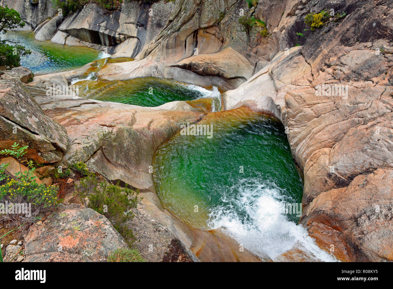 Ponds and waterfalls, cascades of Purcaraccia, Département Corse-du-Sud, Corsica, France Stock Photo