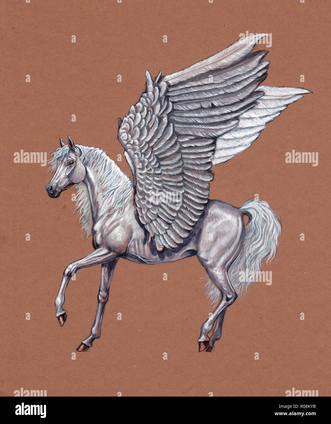 Pegasus drawing. Fantasy horse with wings Stock Photo Alamy