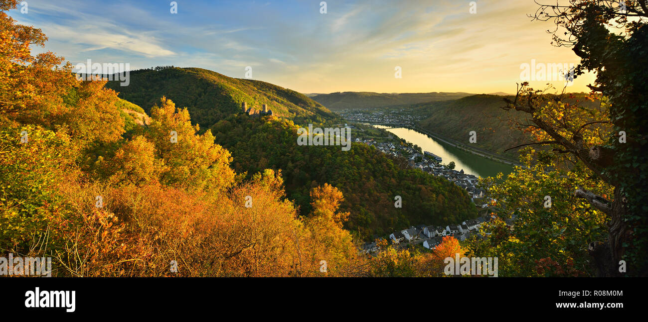 View into the Moselle valley in autumn with Thurant Castle over the wine village of Alken, Löf at the back, evening light Stock Photo