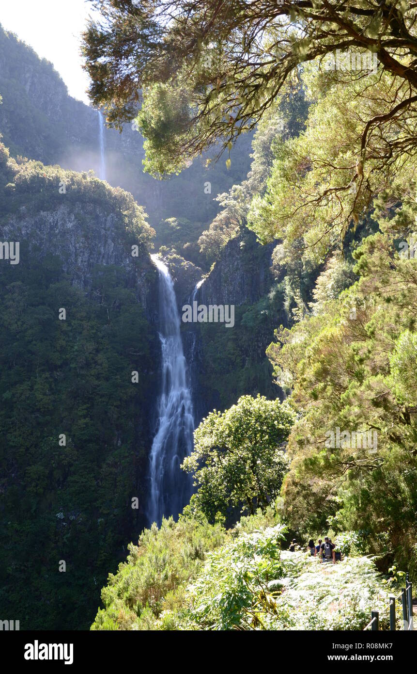 Waterfall along the 25 fontes walk, Madeira Stock Photo