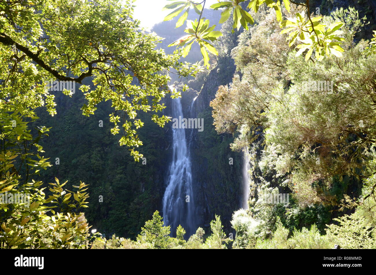 Waterfall along the 25 fontes walk, Madeira Stock Photo
