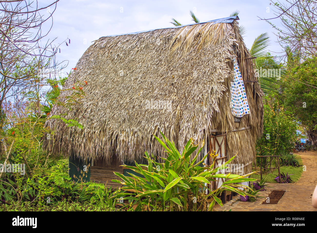 Traditional bure with thatched roof. Dominican republic Stock Photo - Alamy