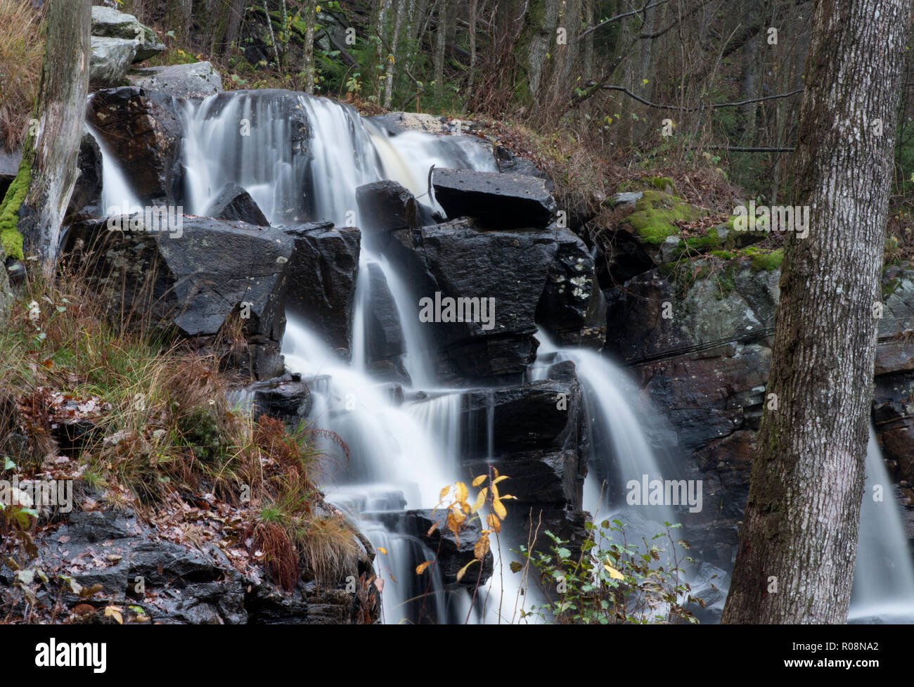 When associated with particular personality hi-res stock photography ...