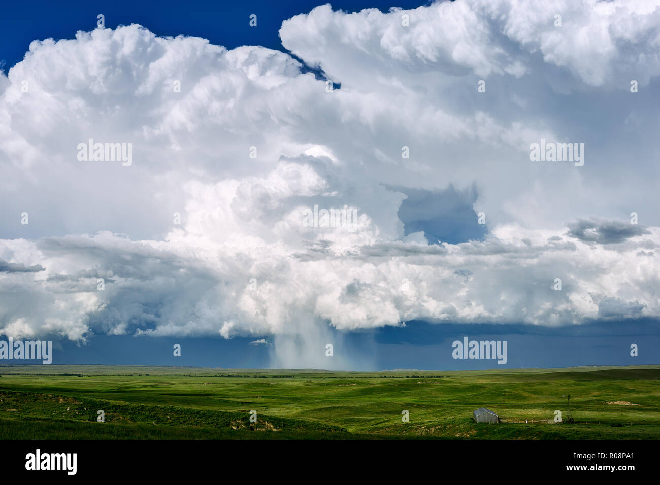 Cumulonimbus clouds as thunderstorms develop over a green grass landscape near Newcastle, Wyoming, USA Stock Photo