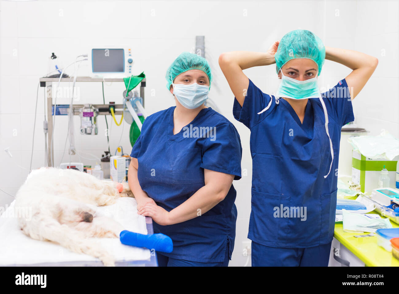 Female veterinarian assistant hi-res stock photography and images - Alamy