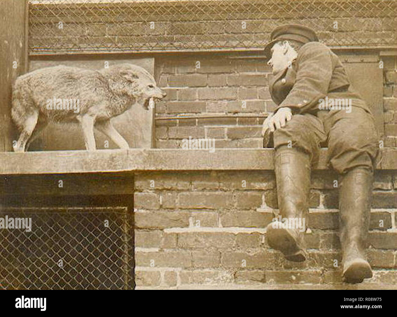 Старые смешные фото. Странно 20. Самые странные исторические фотографии. Необычные изобретения 20 века. Начало 20 века.