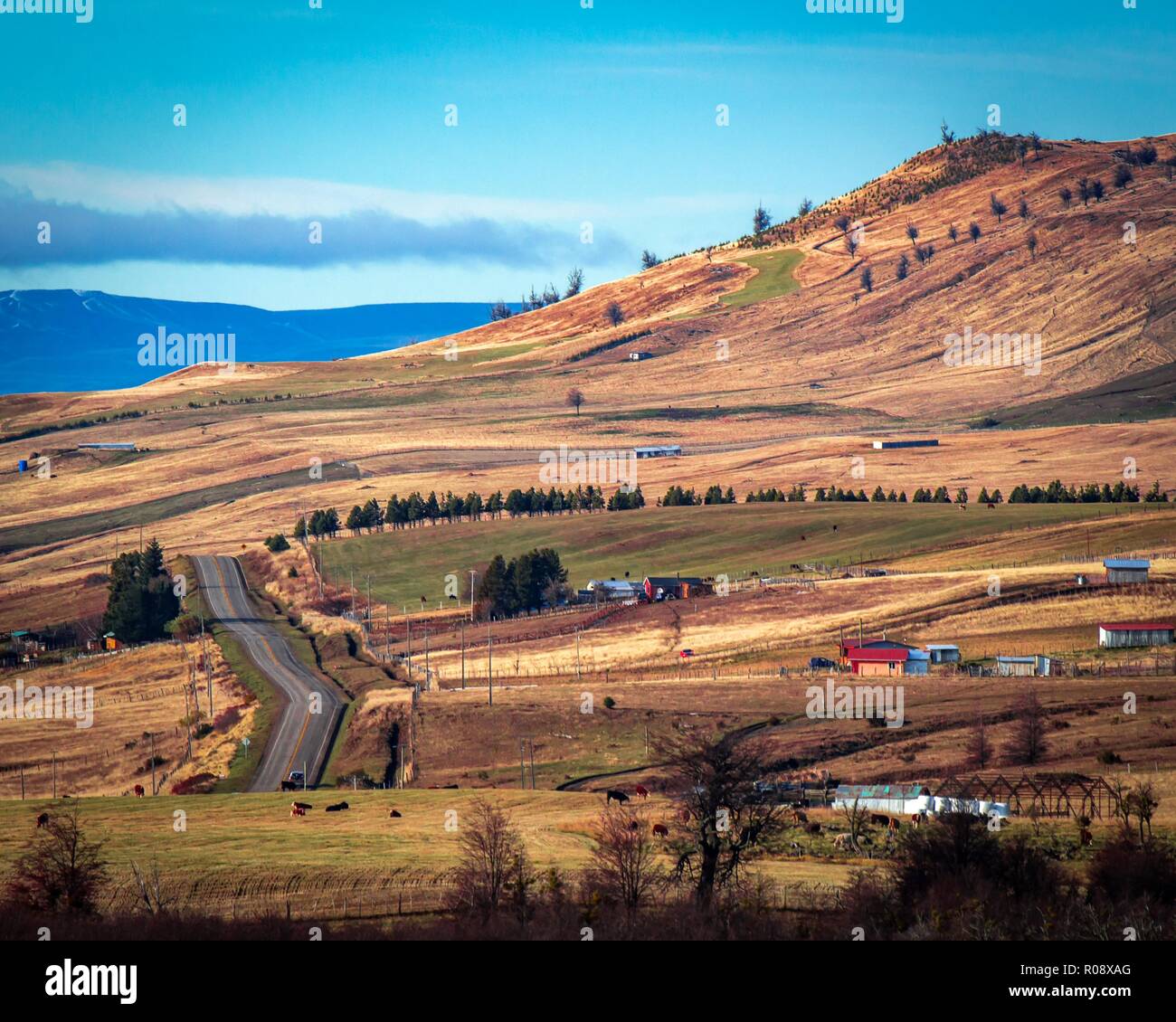 Austral Route View of the Rute 7 road along the chilean austral route with some ...