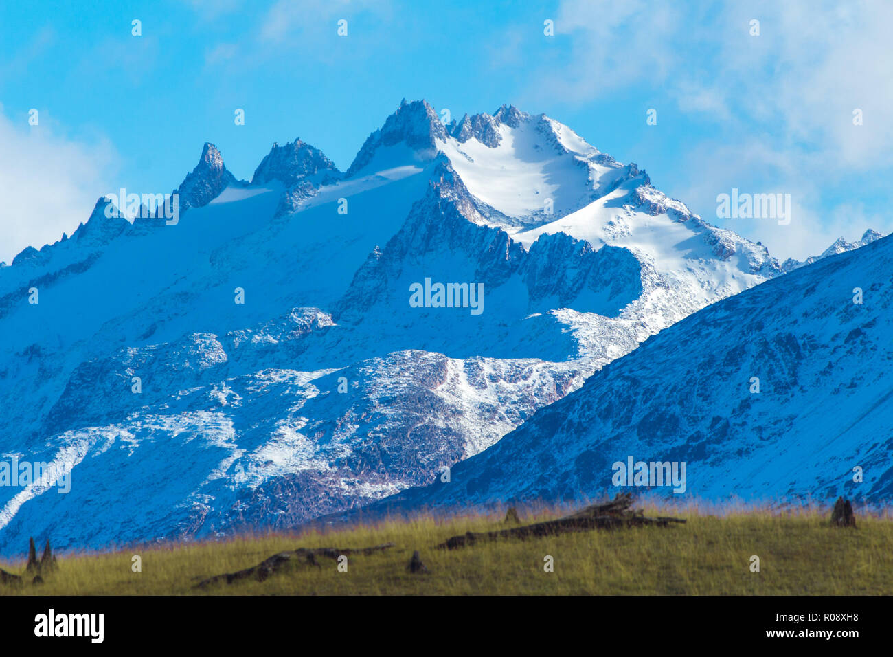 green grass fieldn and wood logs in front of the snowy mountans oh Cerro Castillo Stock Photo