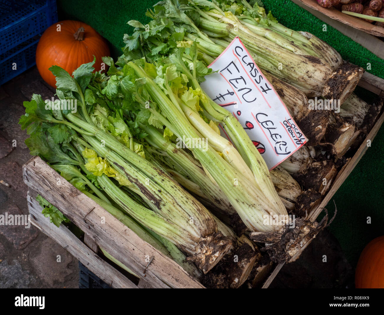 English celery hires stock photography and images Alamy