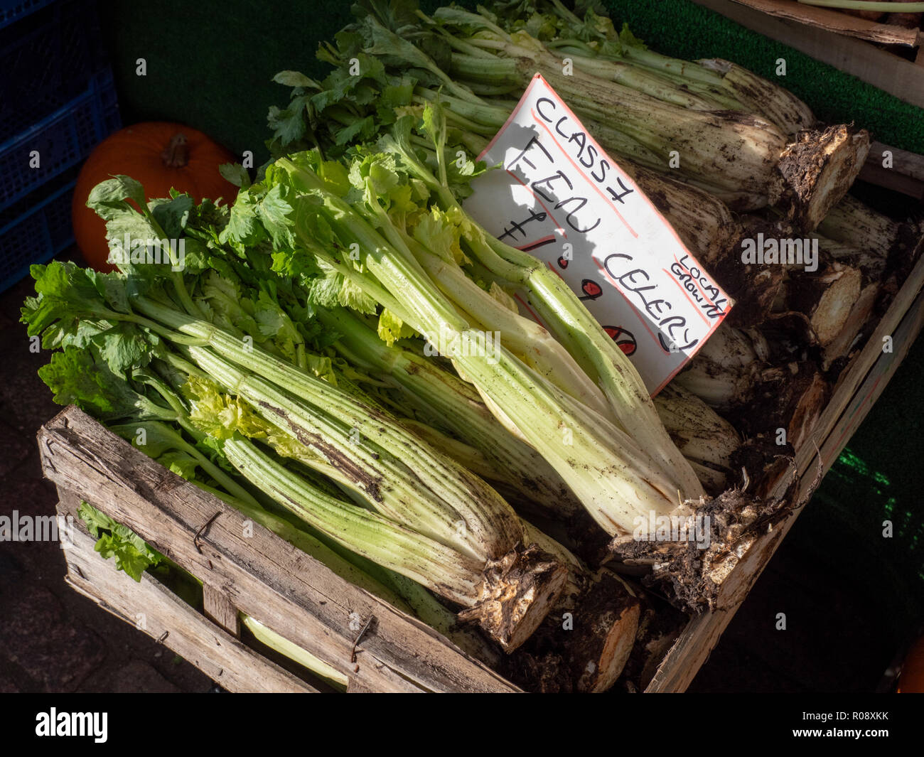 English celery hires stock photography and images Alamy