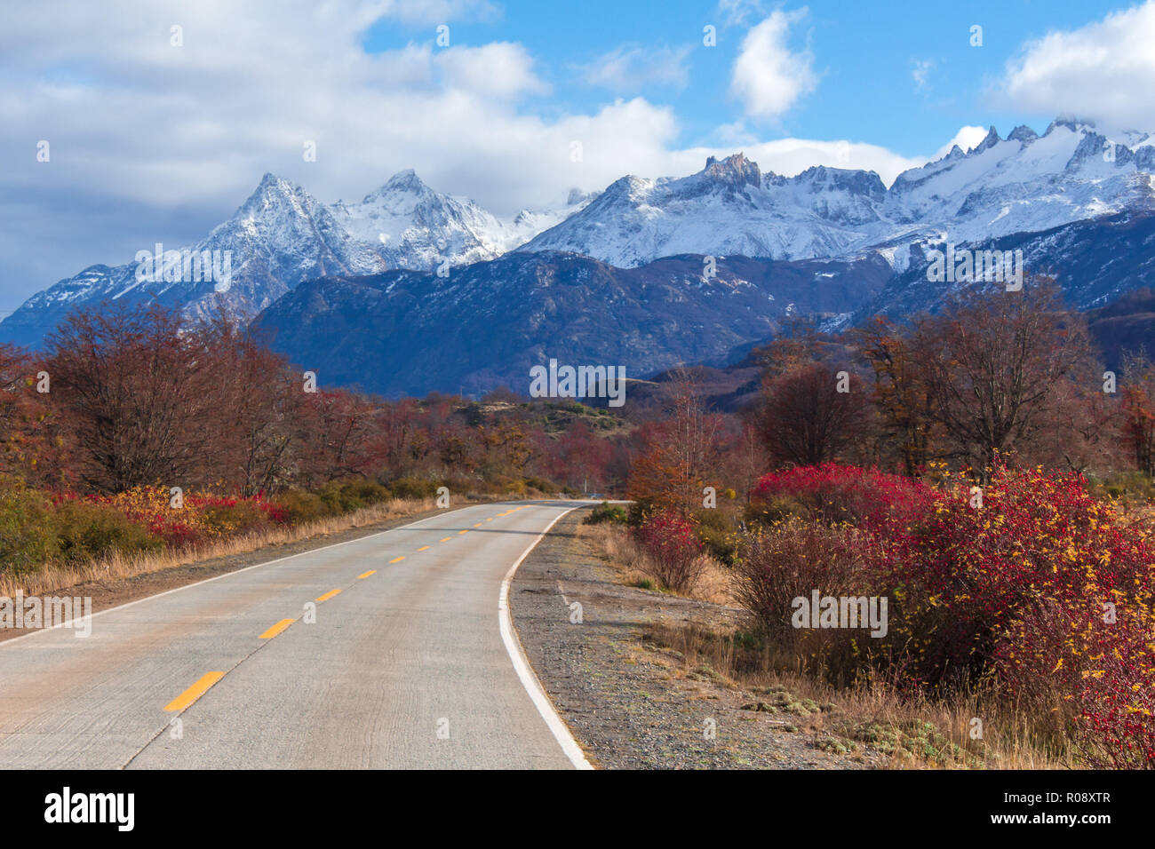 Austral Route A curve on the austral route with the autumn colors and the snowy ...