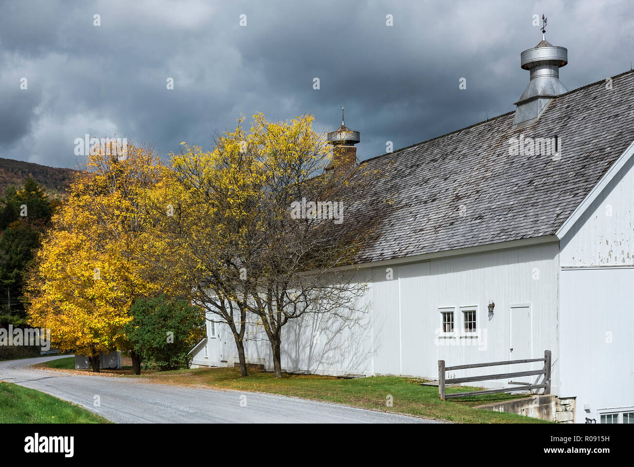 White barn along a autumn country road, Shaftsbury, Vermont, USA. Stock Photo