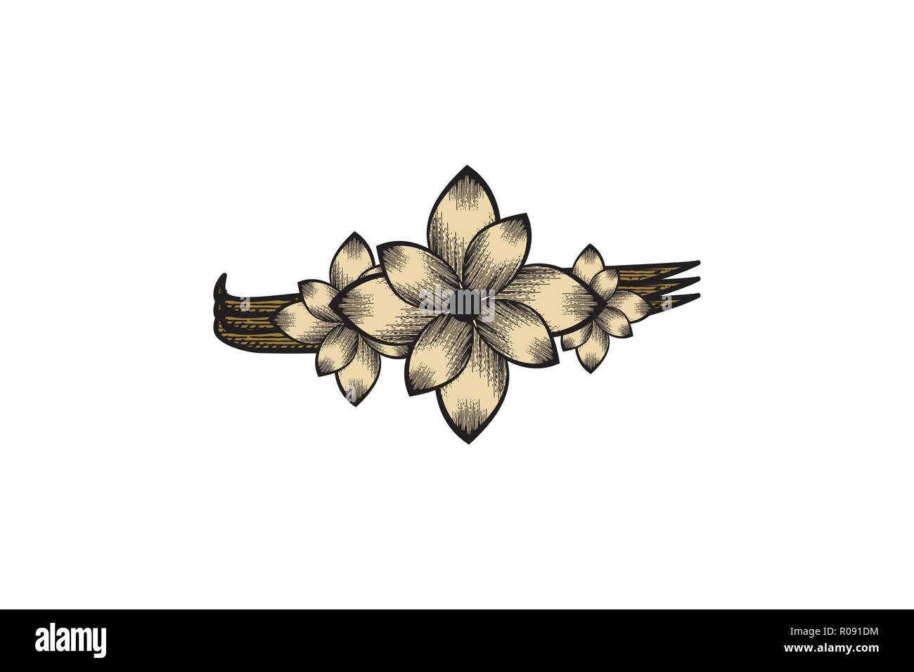 hand drawn floral, flower logo Designs Inspiration Isolated on White