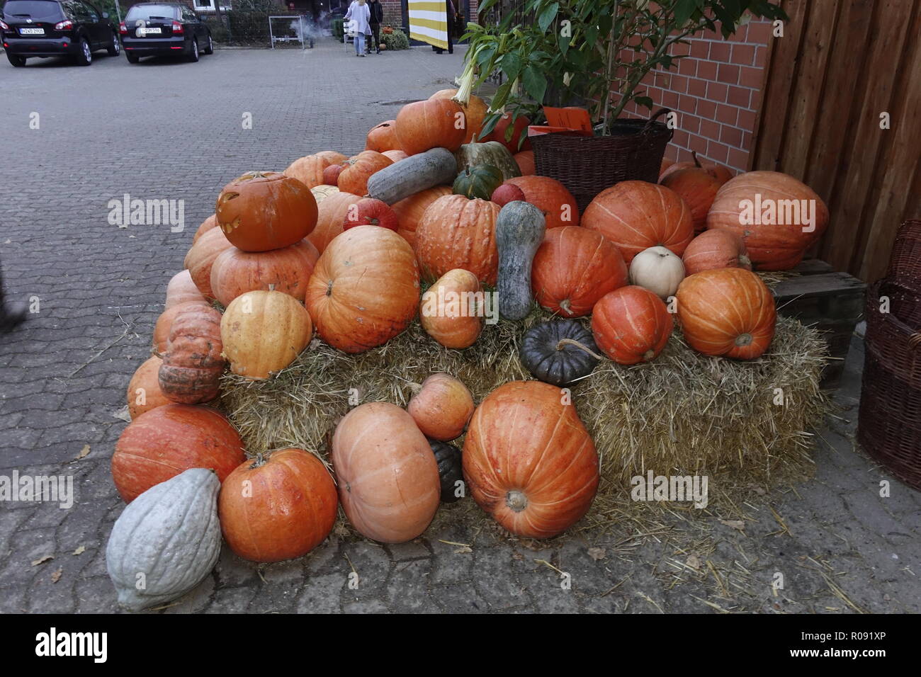 Market stall with squash assortment of various shapes and sizes Stock Photo