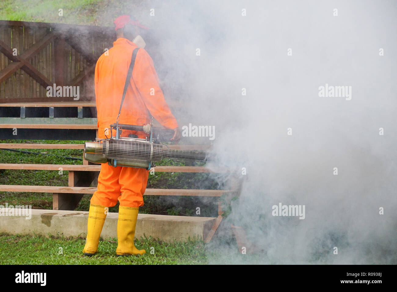 Worker fogging housing area with insecticides to kill aedes mosquito