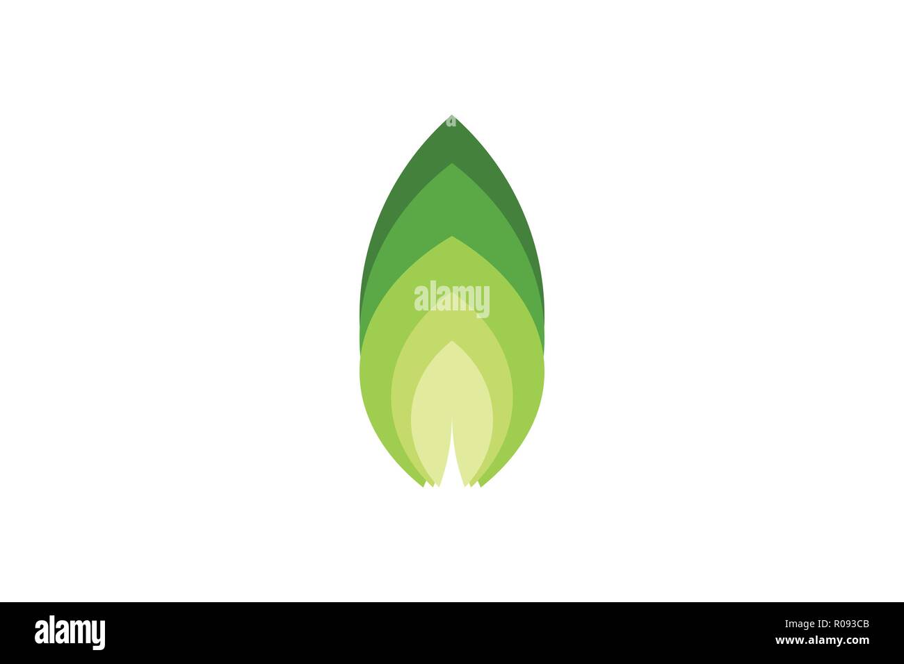 abstract green leaf nature logo Designs Inspiration Isolated on White ...