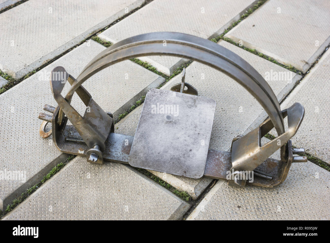 One iron trap on the stone floor, not cocked Stock Photo Alamy