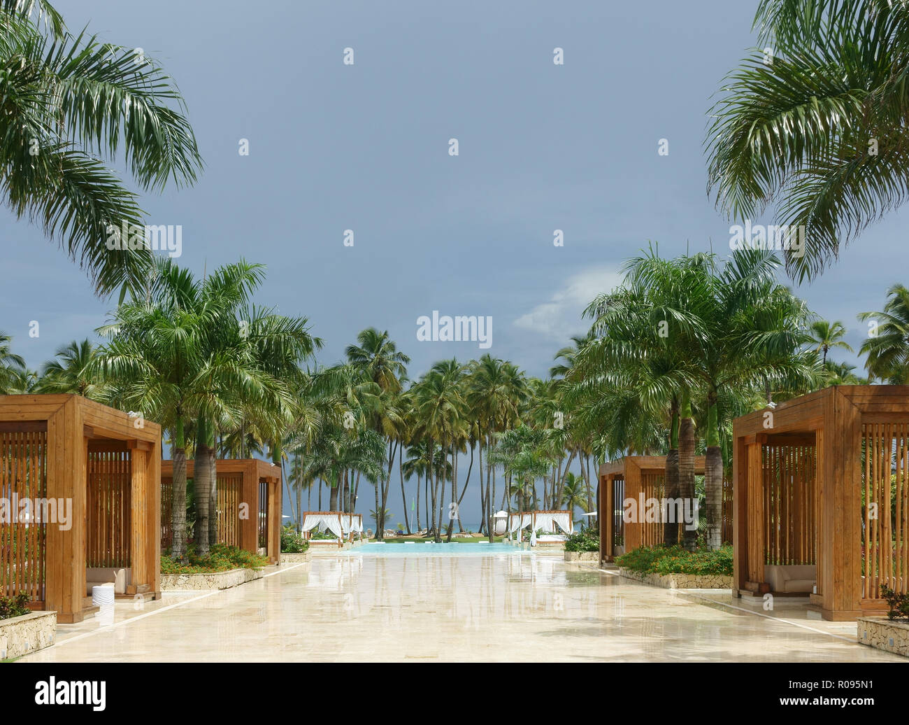 Tropical palm tree alley resort hi-res stock photography and images - Alamy