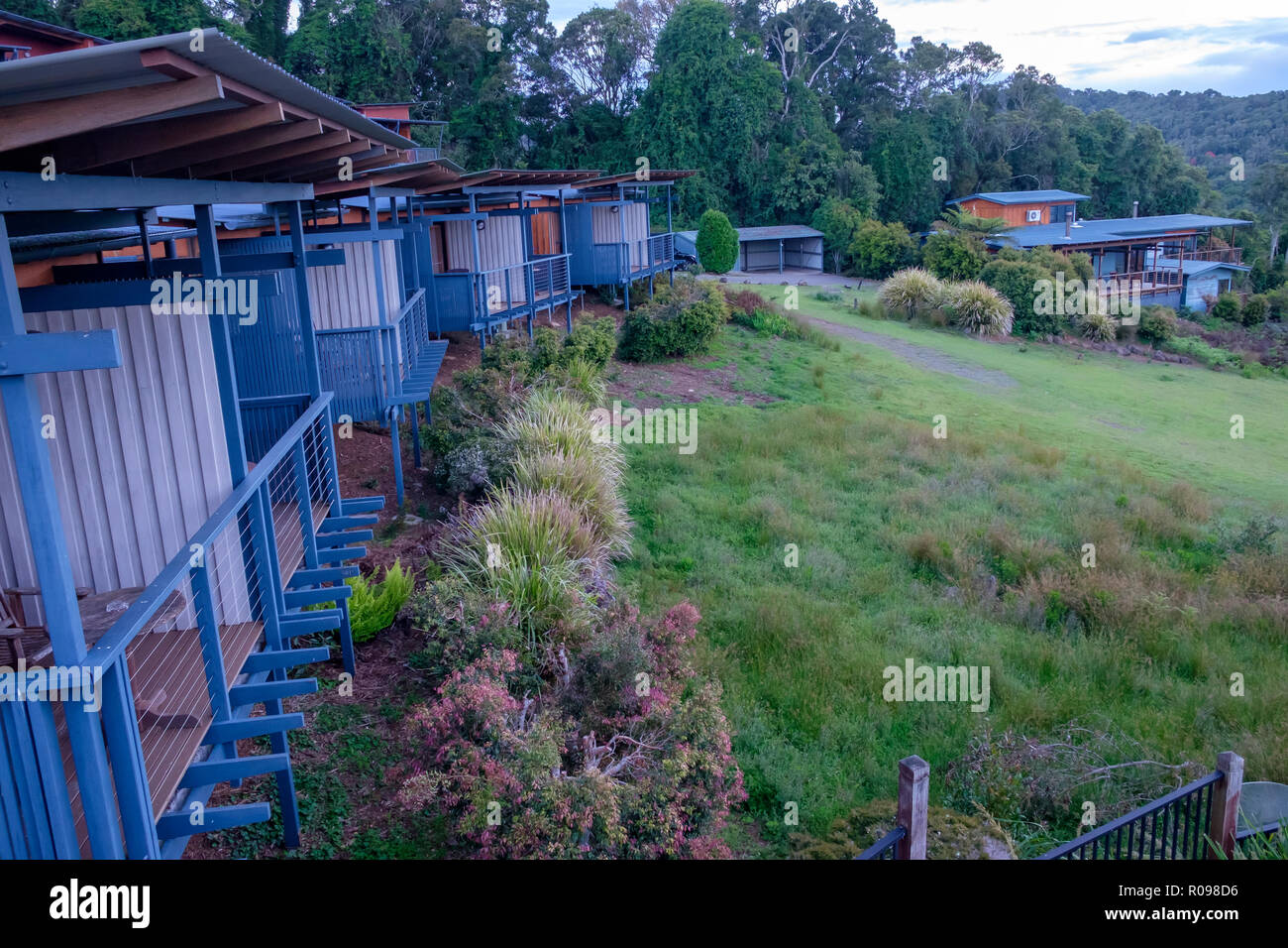 At O Reilly S Rainforest Retreat Lamington National Park Stock Photo Alamy At O Reilly S Rainforest Retreat Lamington National Park Stock Photo Alamy