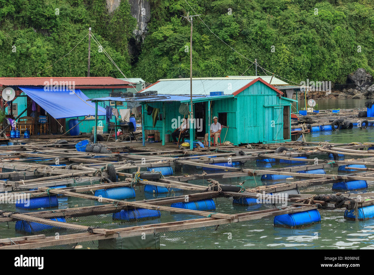 Vietnamese fish farming hires stock photography and images Alamy