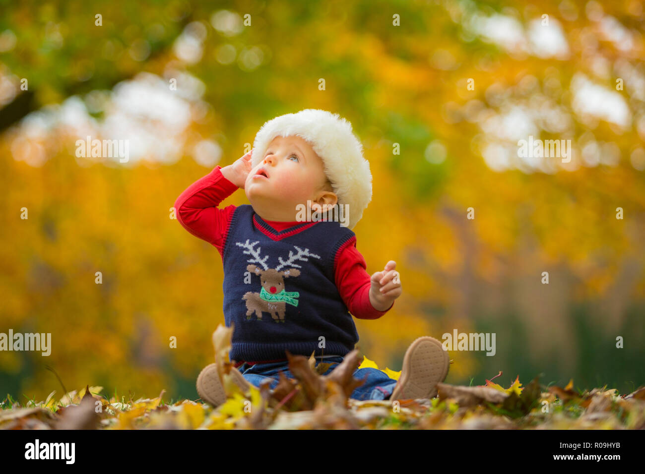 18 month old boy siting in autumn leaves wearing christmas seasonal clothes Stock Photo
