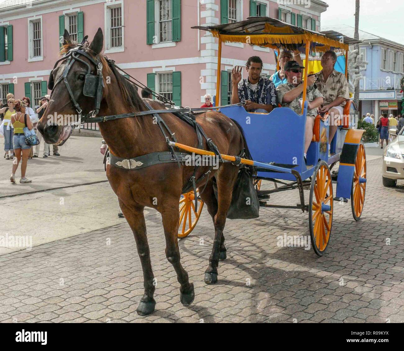 Nassau, New Providence, Bahamas. 16th Jan, 2009. A horse and carriage