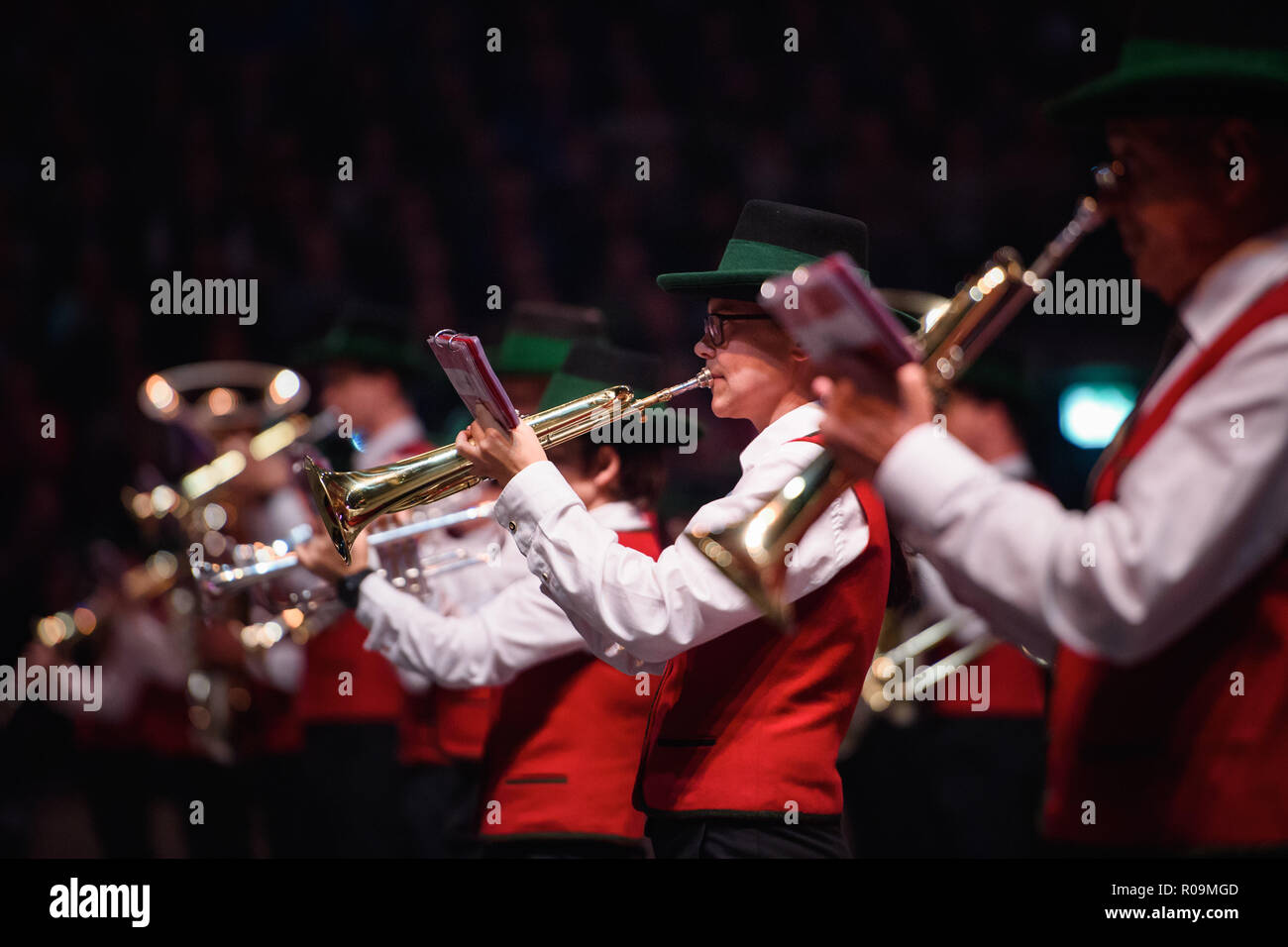 Berlin, Germany. 03rd Nov, 2018. Musicians of the formation 'GTK Mureck' play for the audience at the 'Berlin Tattoo' of the international military music show in the Max-Schmeling-Halle. Credit: Gregor Fischer/dpa/Alamy Live News Stock Photo