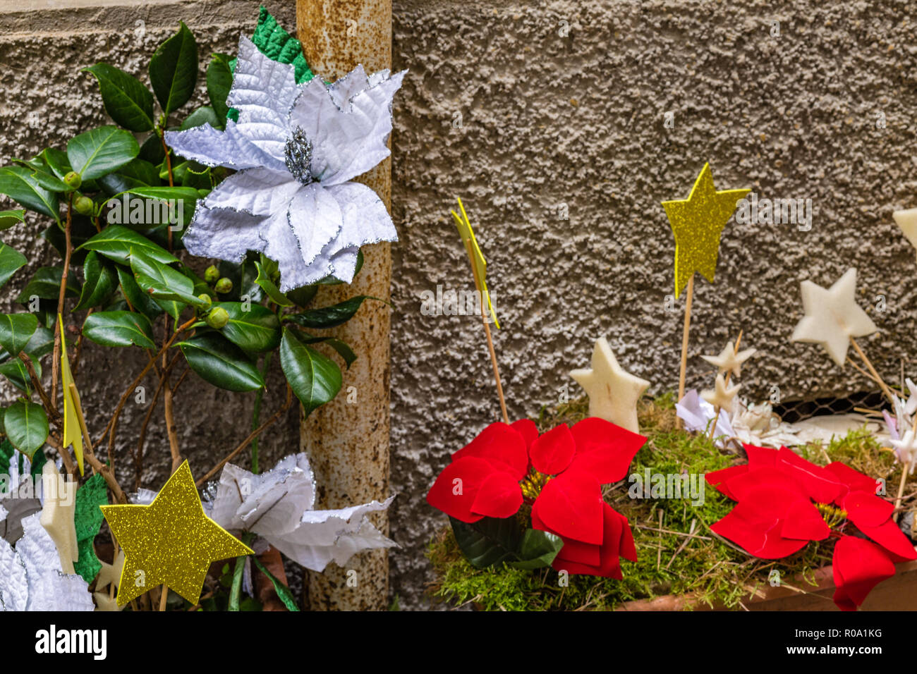 Decorate decorations plant decor hi-res stock photography and images ...