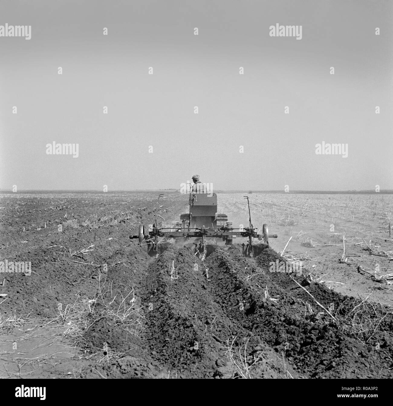 Farmer Listing his Field under Wind Erosion Control Program, Receiving 20 cents per Acre for his Work, Liberal, Kansas, USA, Arthur Rothstein, Farm Security Administration, March 1936 Stock Photo