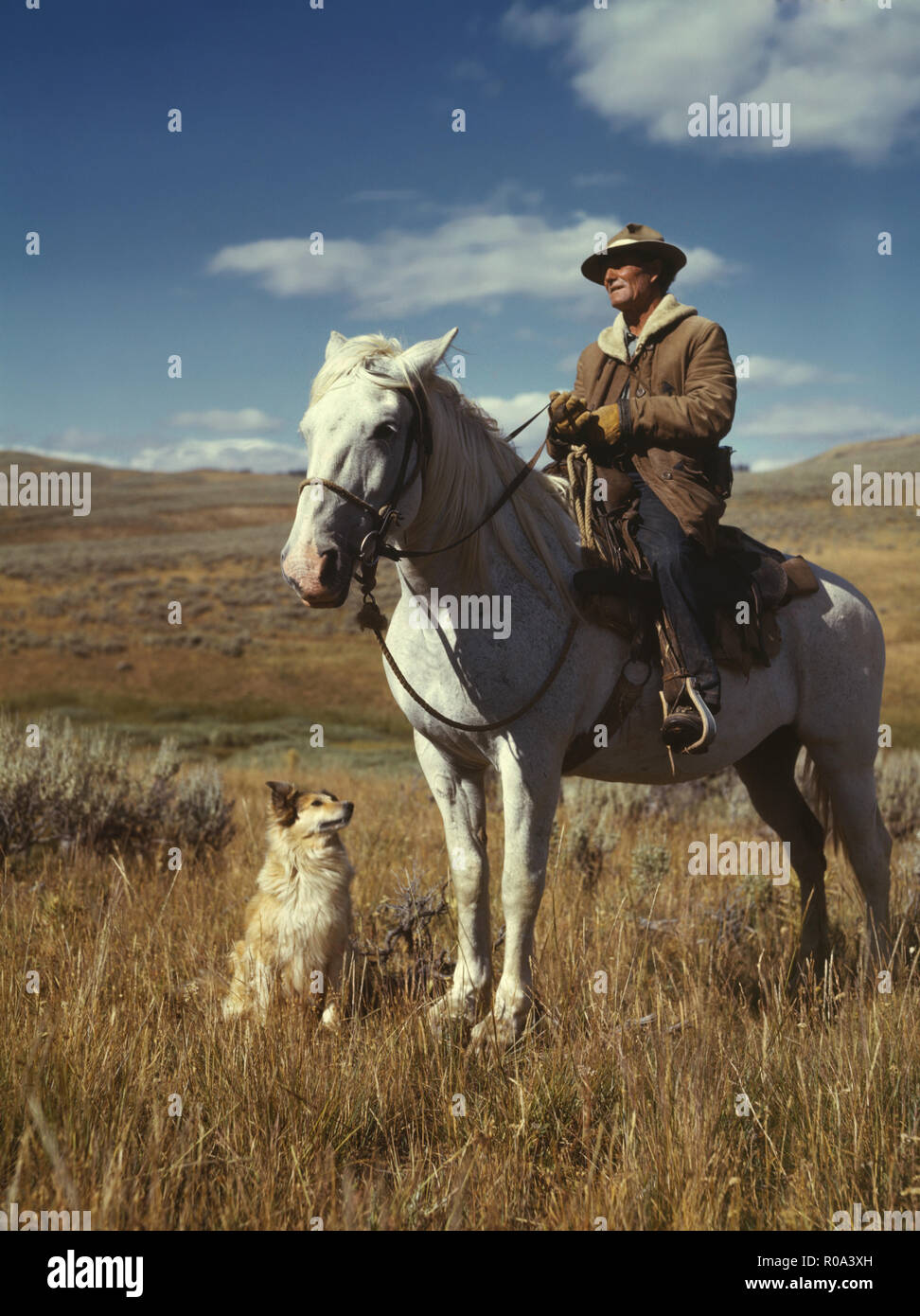 Shepherd With His Horse And Dog On Gravelly Range Madison County Montana Usa Russell Lee Office Of War Information August 1942 Stock Photo Alamy