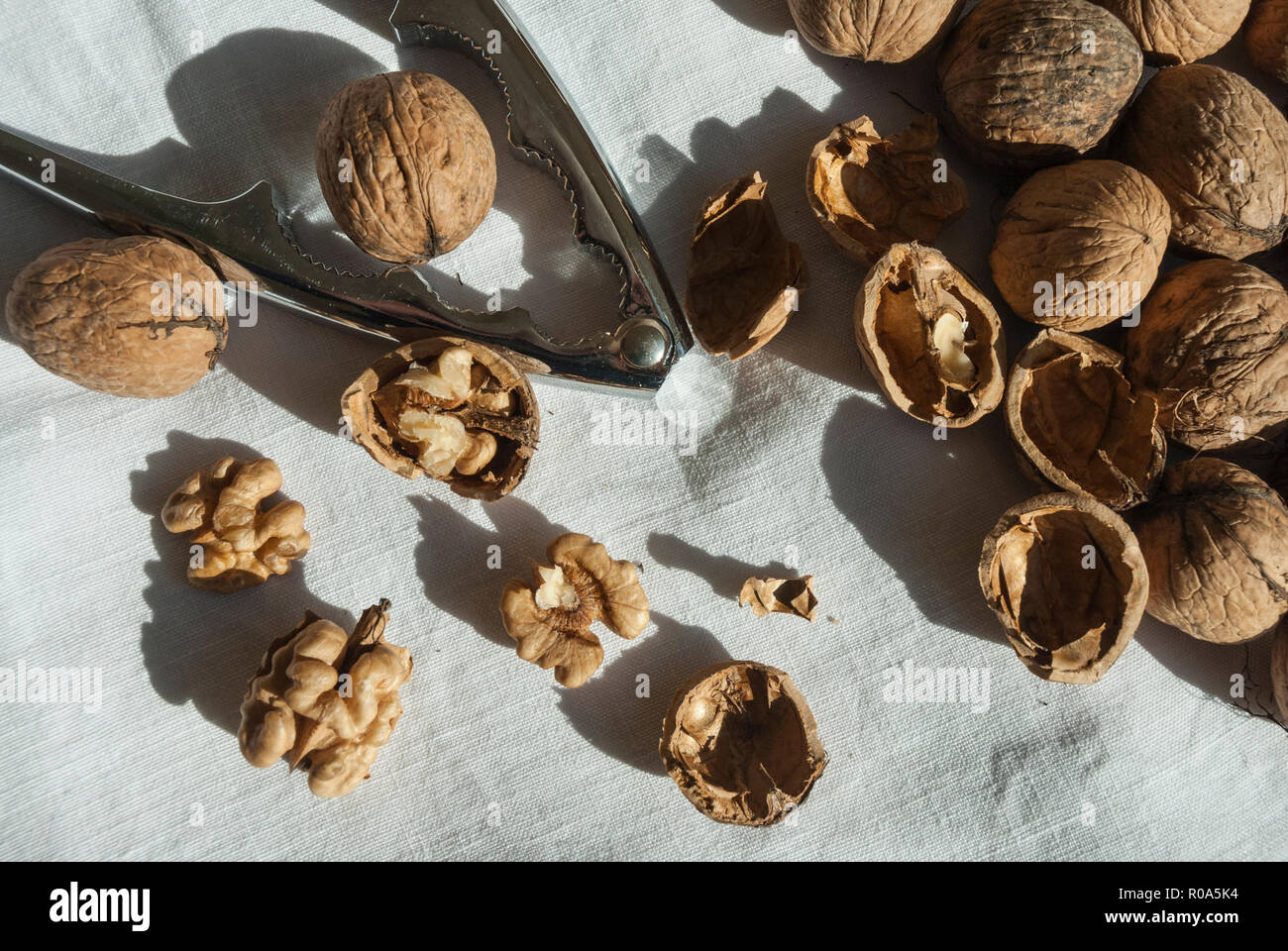 Walnuts closed and open with nuts revealed together with nutcrackers displayed on a white cloth. Stock Photo