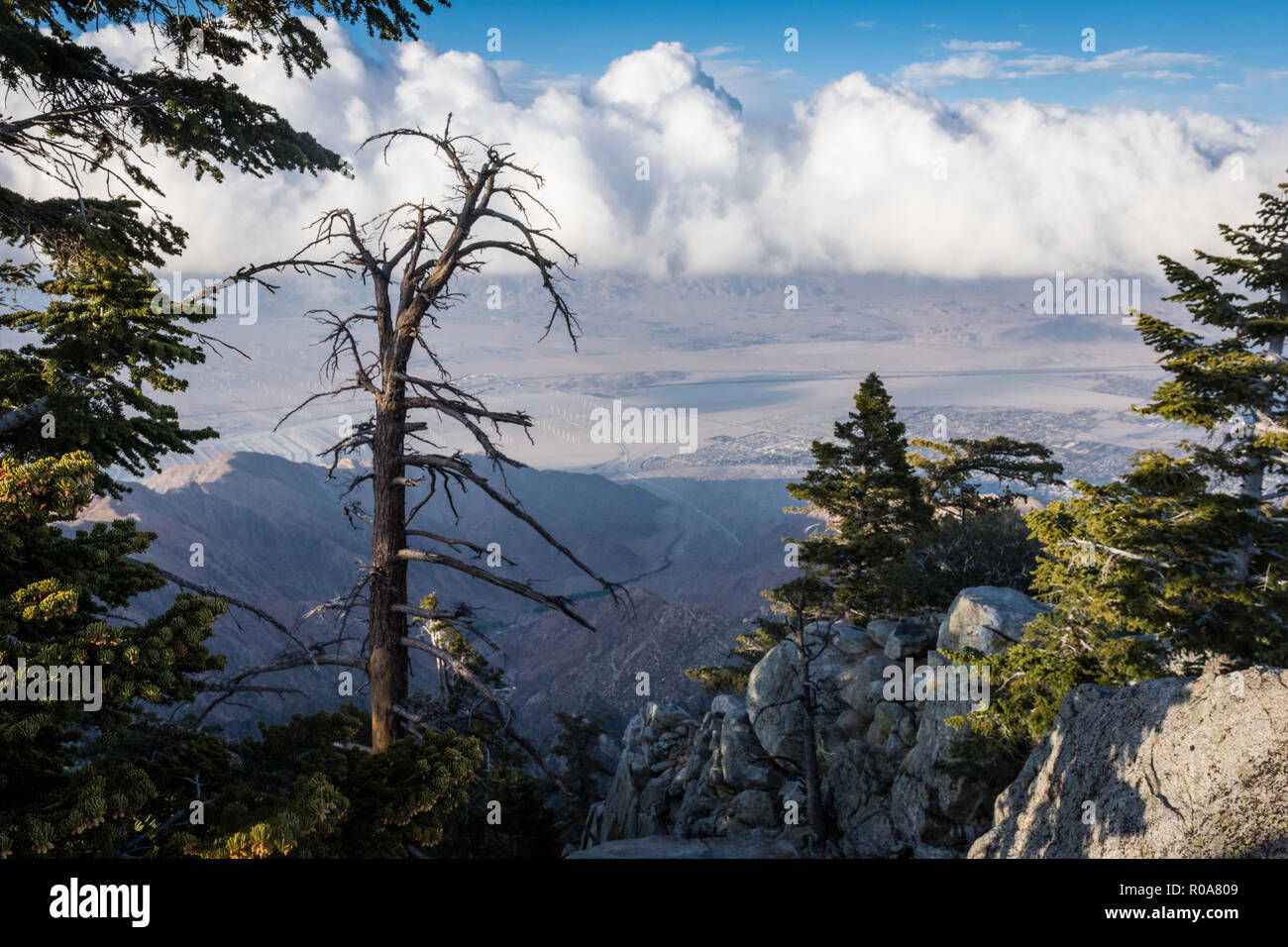 View of the Coachella Valley from the Palm Springs Aerial Tramway Stock Photo