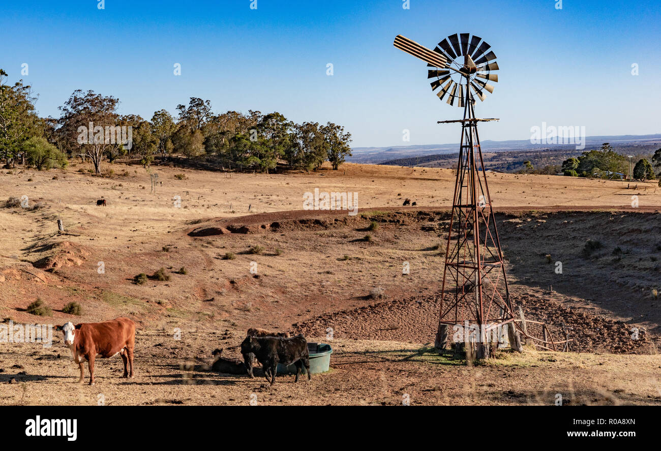 Australia farm with no water. Dam is totally empty with now rain Stock Photo