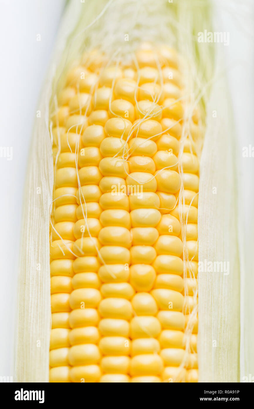 Corn closeup isolated on white Stock Photo - Alamy