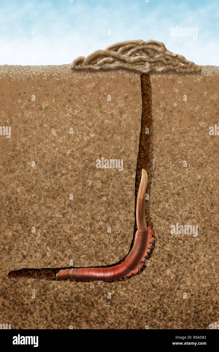 Digital illustration of a sandworm inside its hole Stock Photo - Alamy