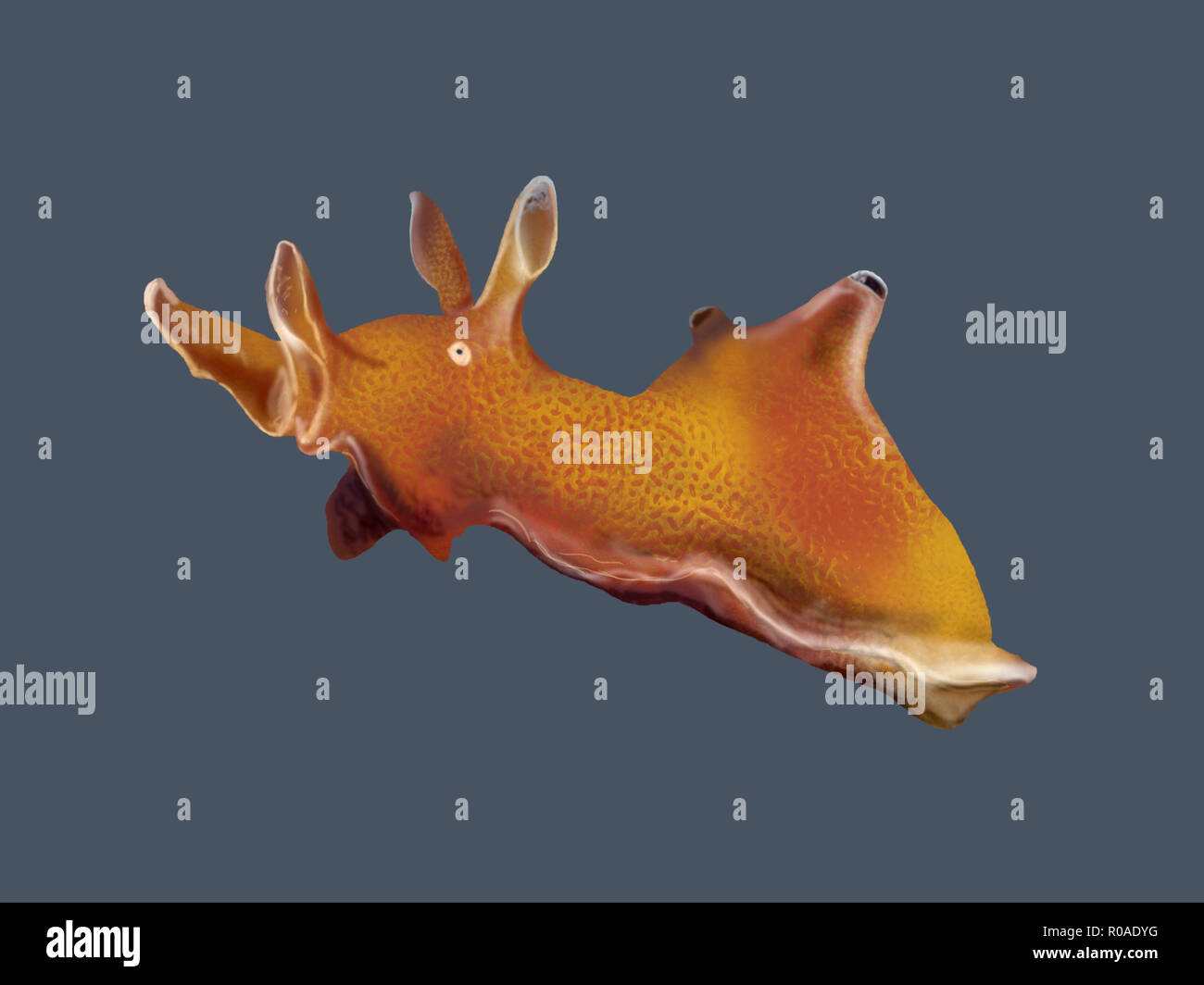 Digital illustration of a sea hare Stock Photo