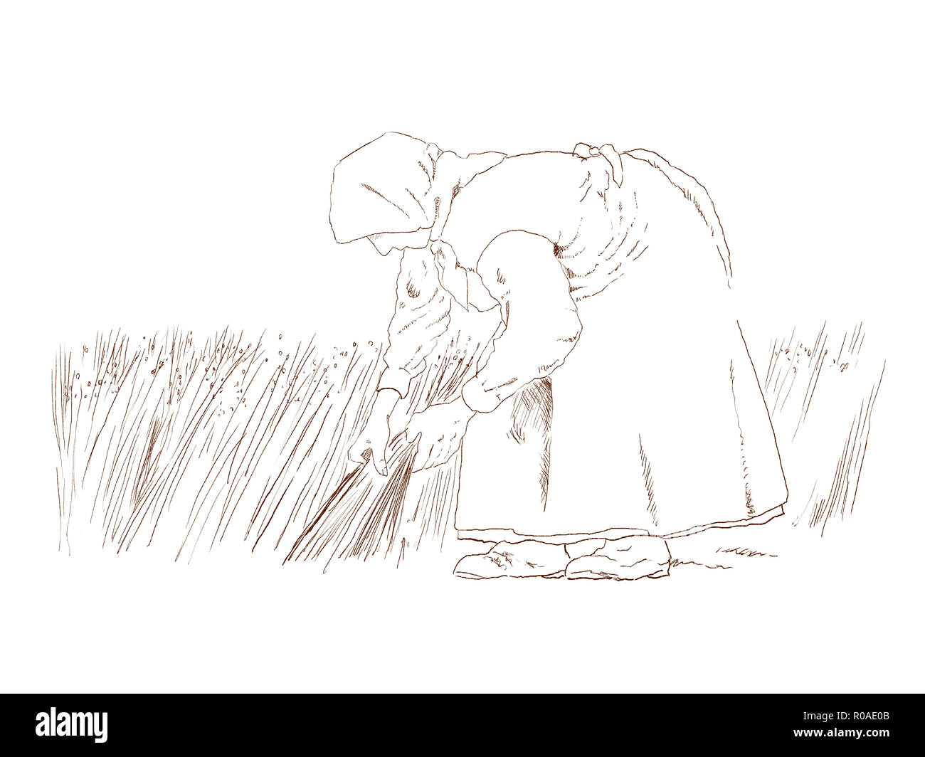 digital illustration of the process of manufacturing linen Stock Photo