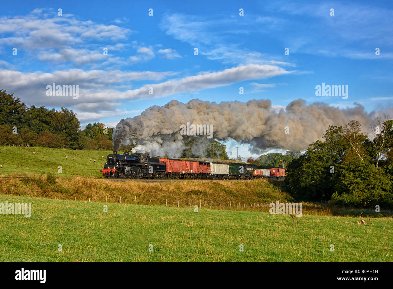 Standard 4 76069 is seen storming the moors Stock Photo