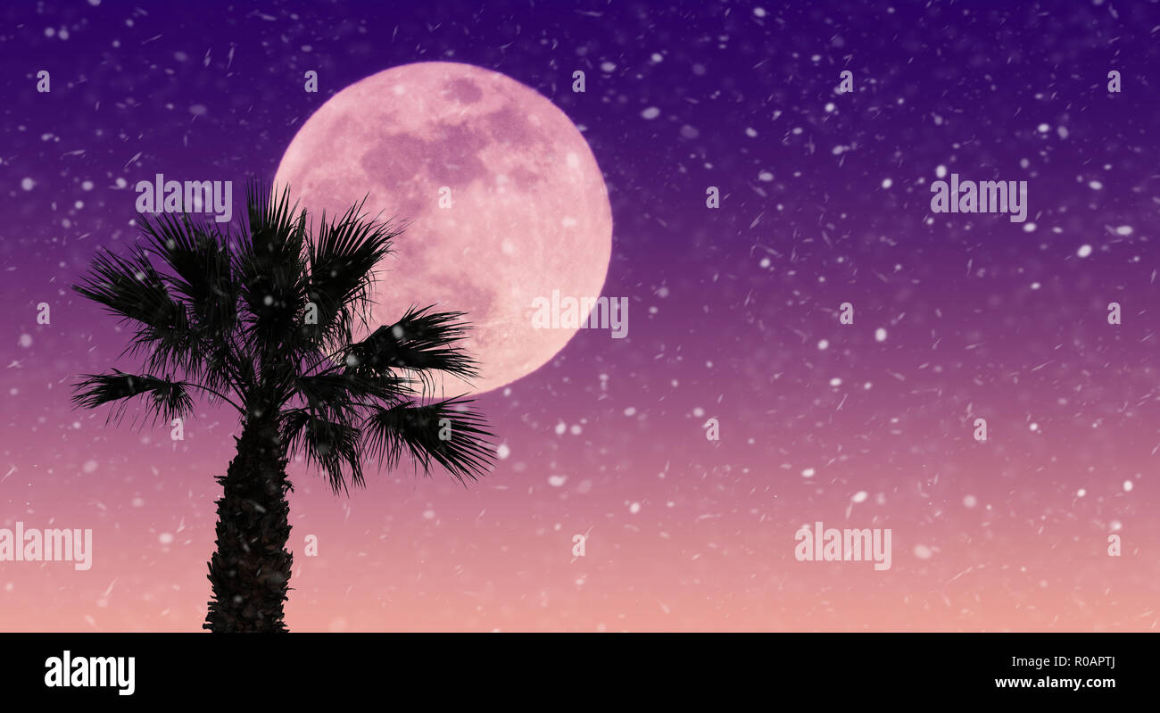 Snow storm in a tropical location. Imaginary landscape with a mix between summer and winter. Escape to warm destination during the holidays. Stock Photo