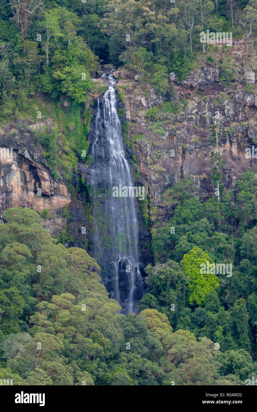 On the Python Rock walk - At O'Reilly's Rainforest Retreat, Lamington ...