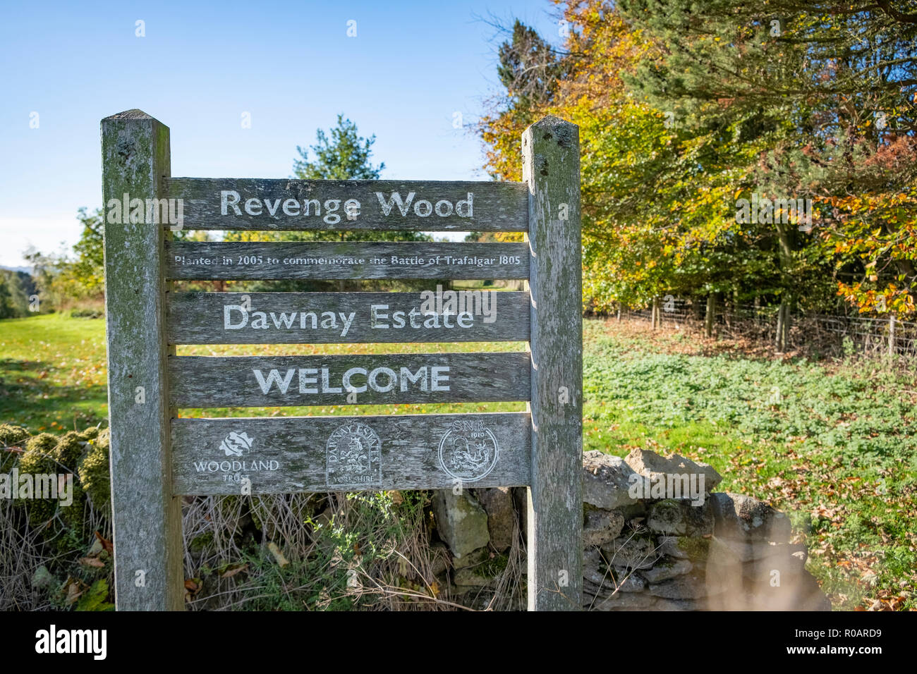 Revenge Wood sits between Hutton Buscel and Wykeham. Stock Photo