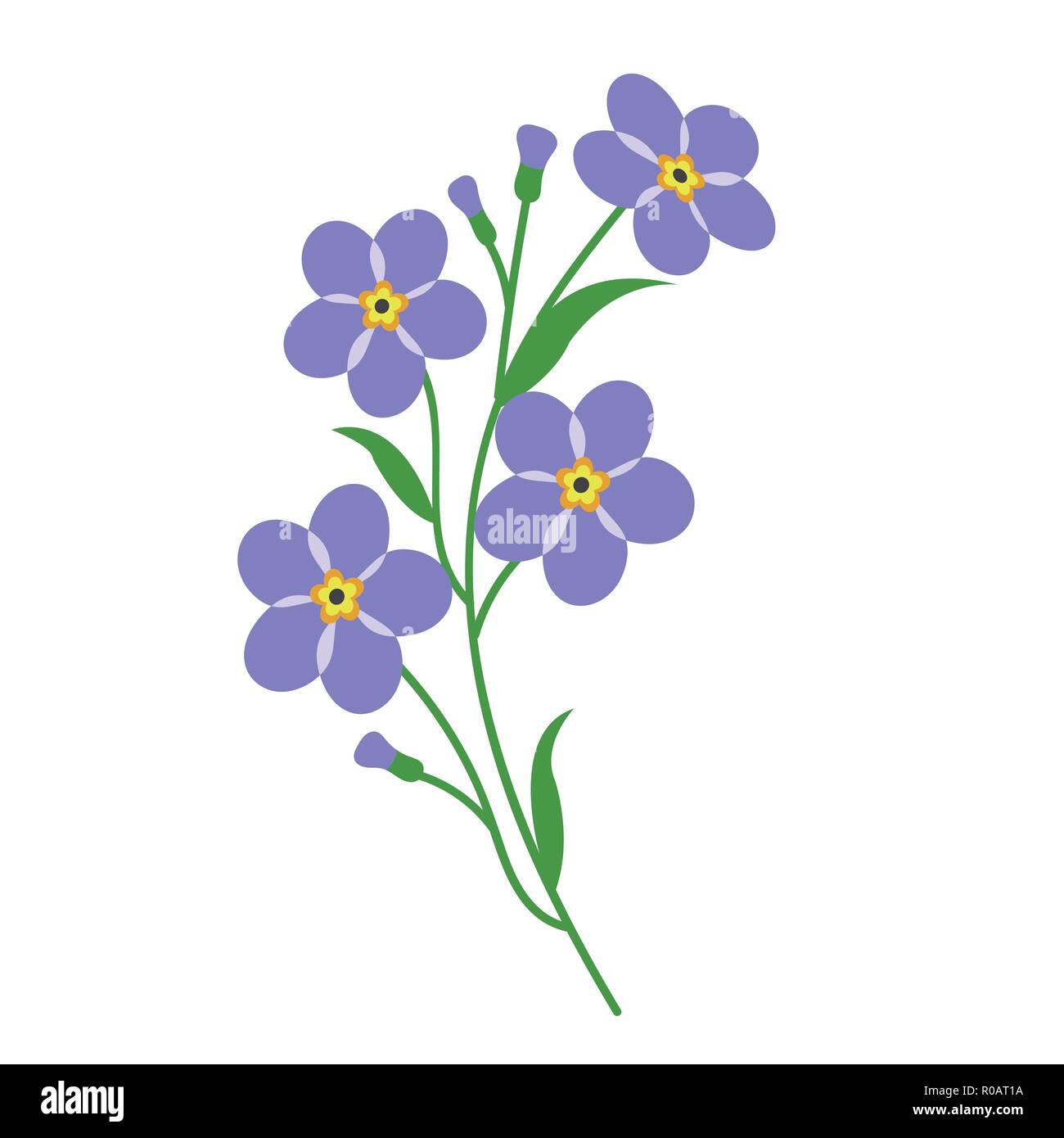 Nature Flower Violet Purple Forget Me Not Vector Botanic Garden Floral Leaf Plant Stock Vector Image Art Alamy