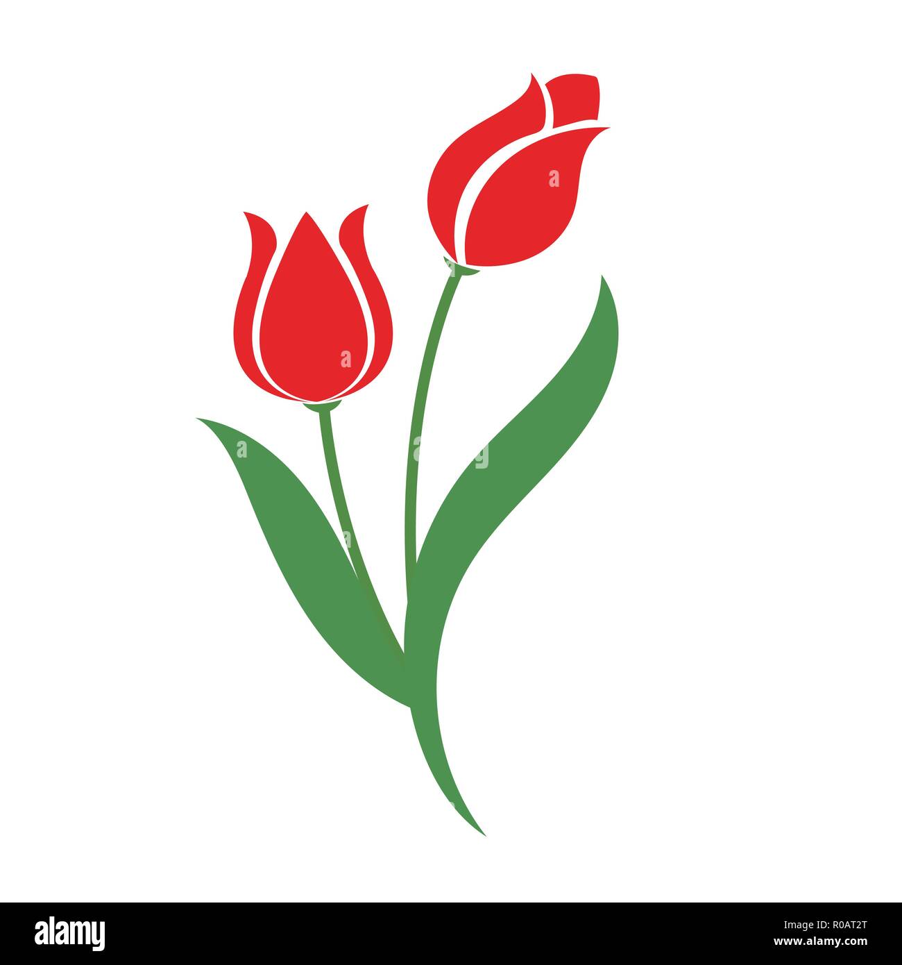Nature flower red tulip, vector botanic garden floral leaf plant Stock