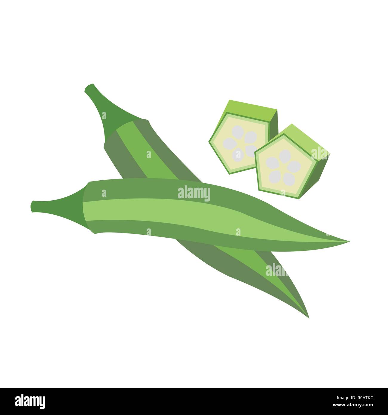 Nature organic vegetable Okra Lady's finger Gumbo, healthy vector