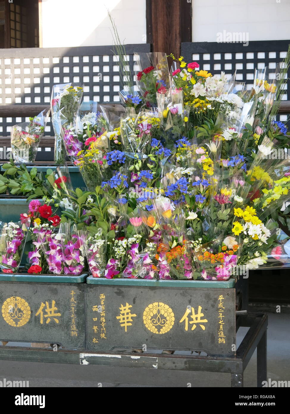 Close-up of the stands of cut flowers outside the main worship hall at the Nishi Hongwanji temple complex; Kyoto, Japan Stock Photo