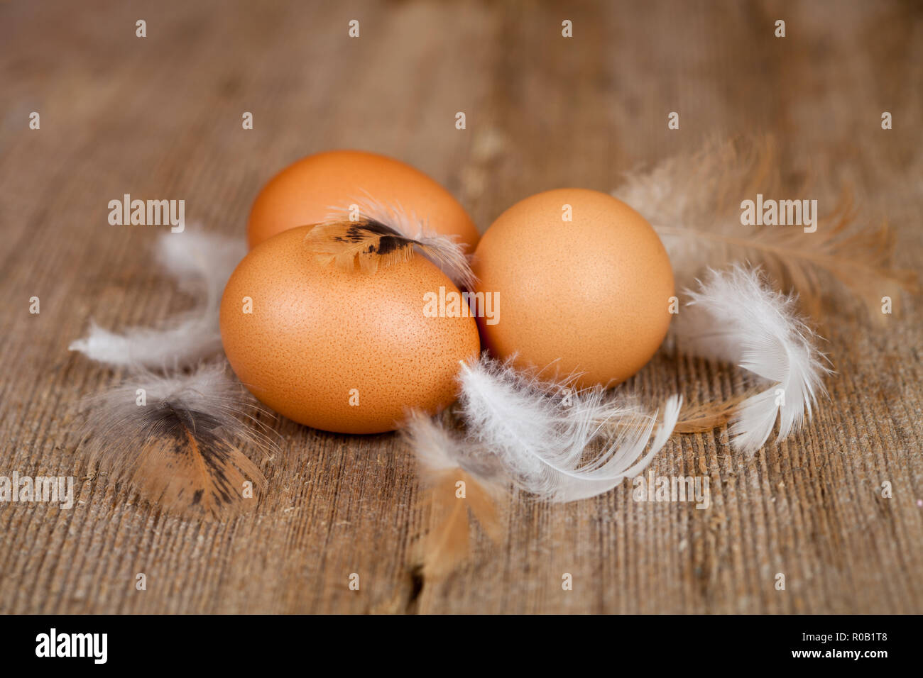 three eggs and feathers on rustic wooden table Stock Photo