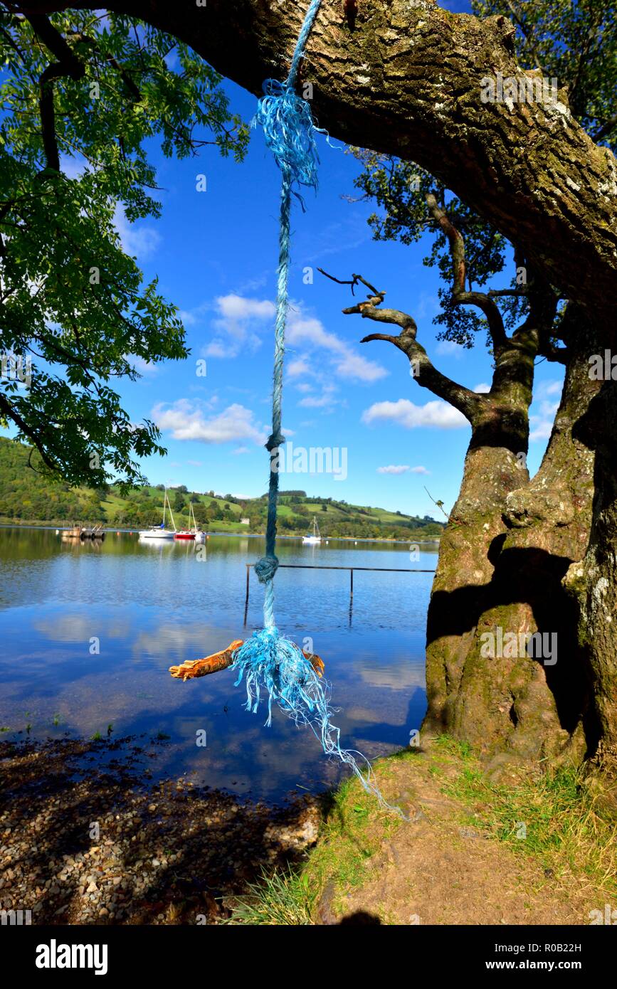 Rope swing attached to the branch of a tree,Ullswater lake,Lake