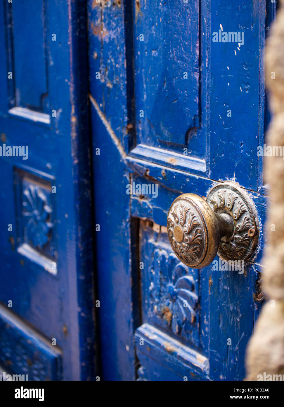 OLYMPUS DIGITAL CAMERA Stock Photo