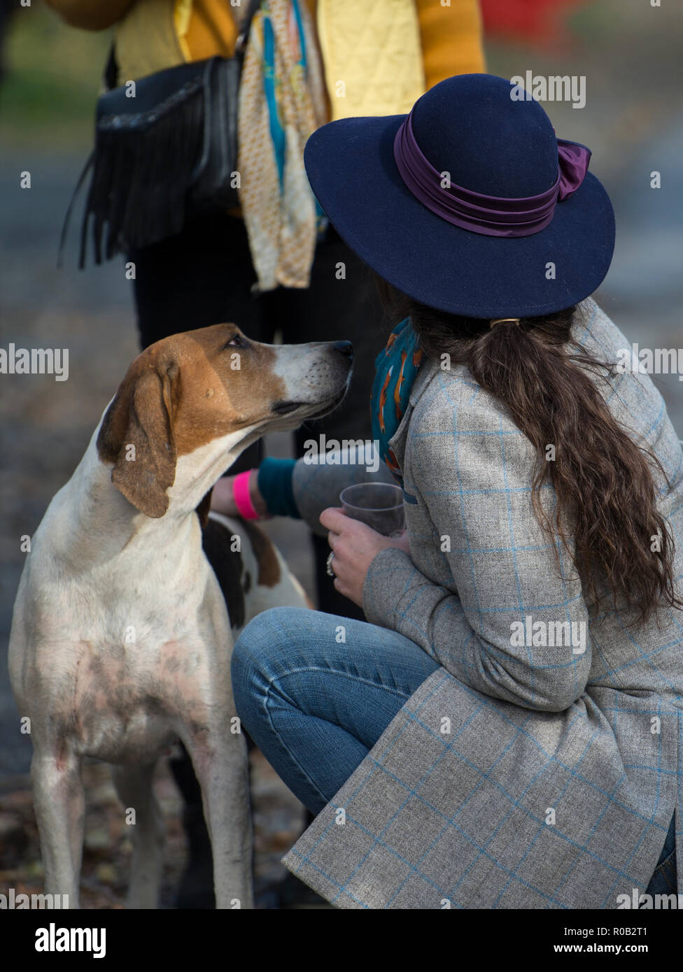 Mosby heritage hires stock photography and images Alamy